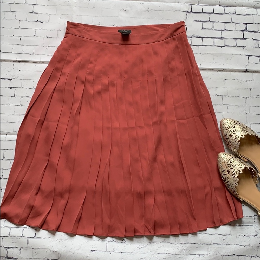 Ann Taylor skirt